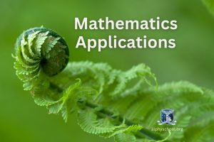 Mathematics Applications Alphy School