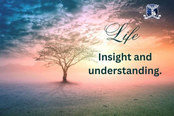 life-alphy school-web