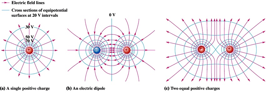 Electric field lines – Alphy School