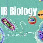 IB Biology HL 2028